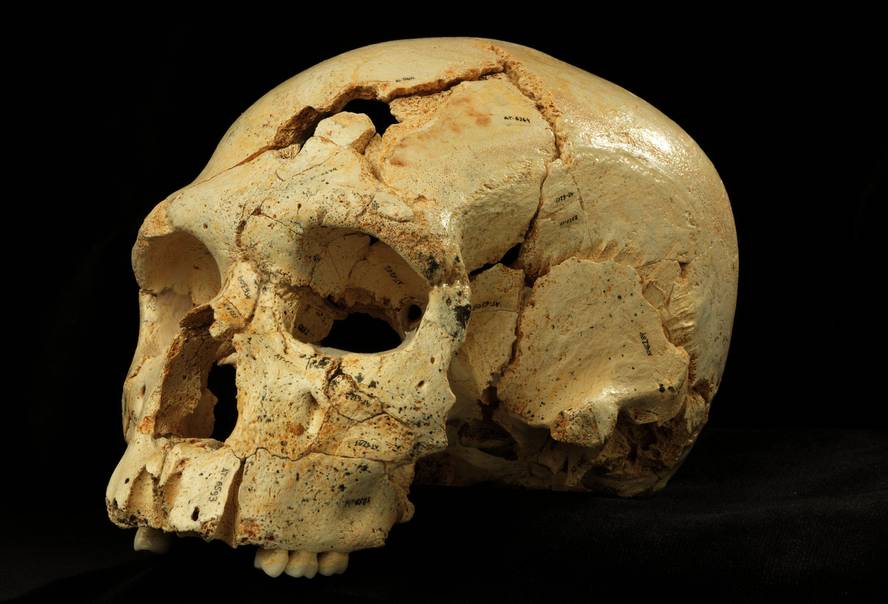 datu-giltzarriak-neandertalen-eboluzioaz-atapuerca