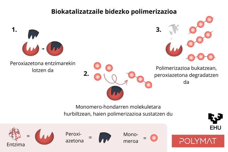 Akrilikoen toxikoak garbitzeko entzima 3 
