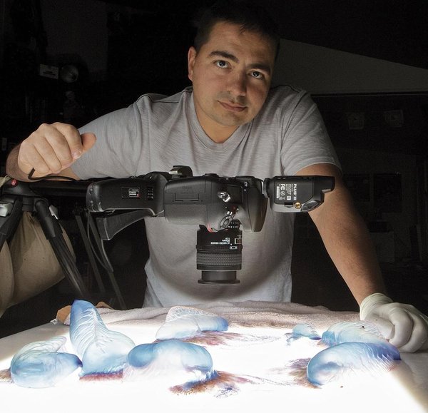 Aaron Ansarov46