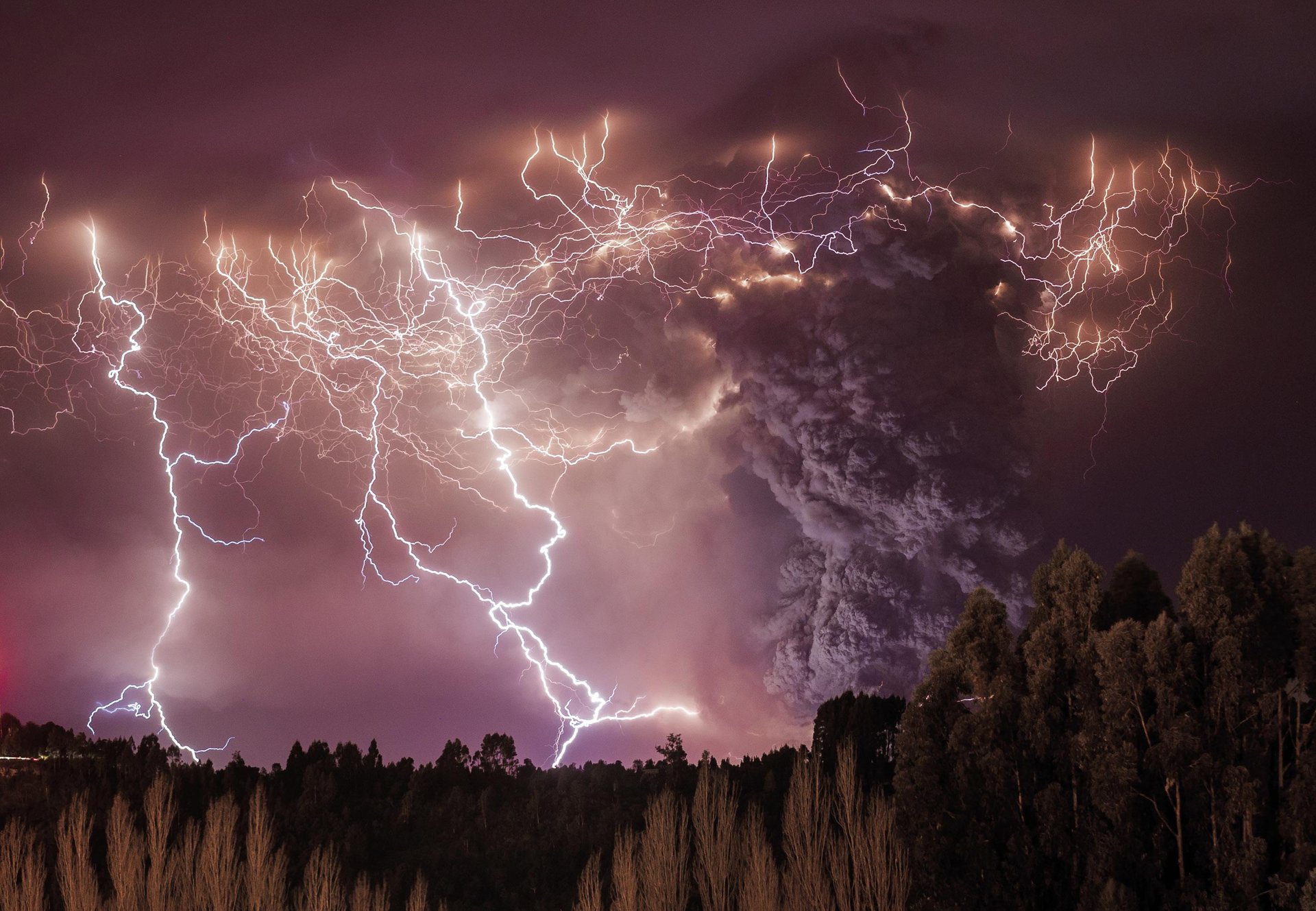 Apokalipsia (Apocalypse)
