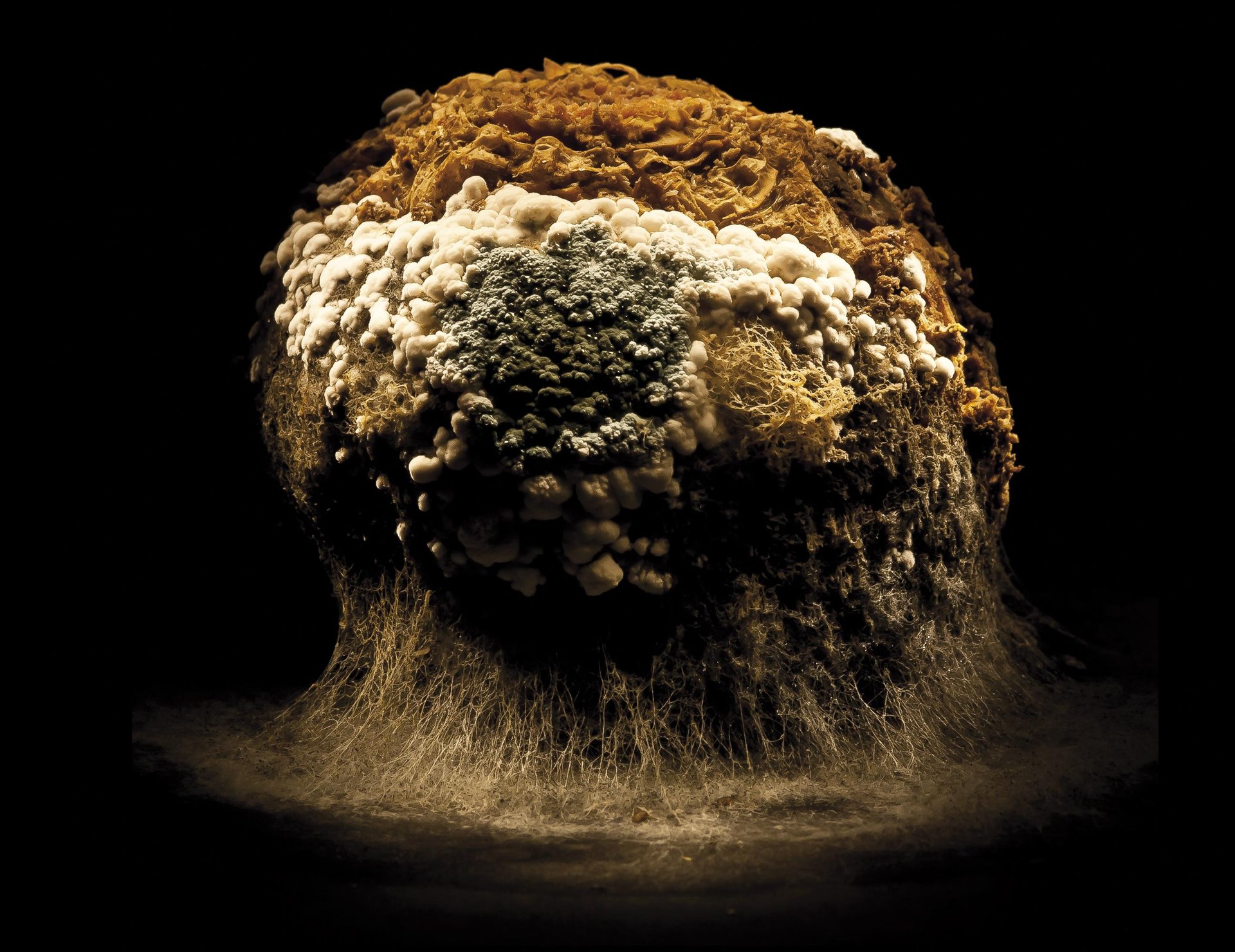 Bonba nuklear (Modeloa: Arbi-aza lizundua)