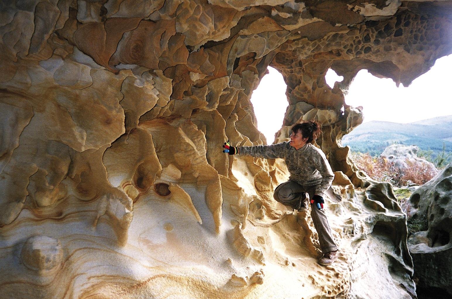 Boxwork erraldoiak 2