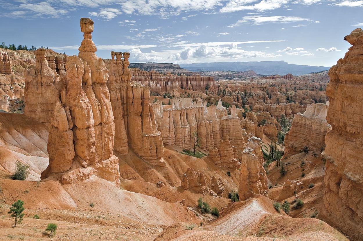 Bryce Canyon239