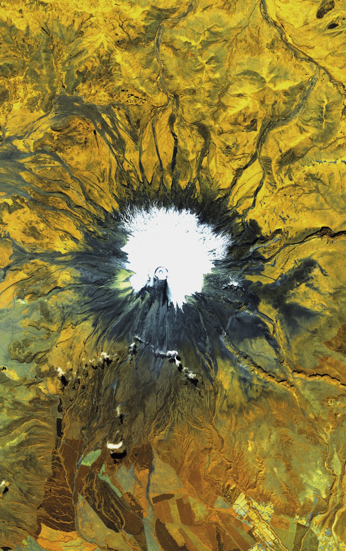 Cotopaxi sumendia (Ekuador) Cotopaxi sumendia (Ekuador)