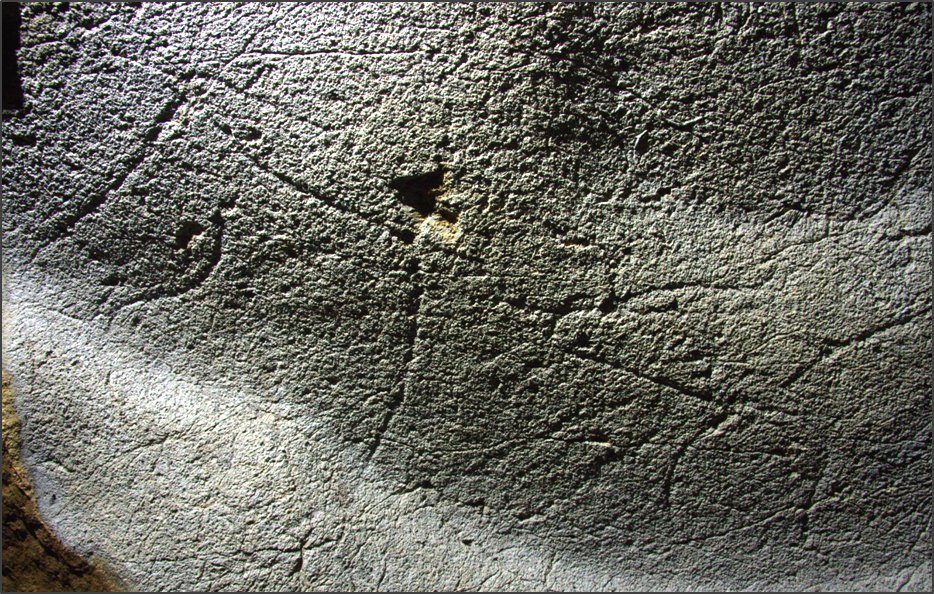 Erlaitz haiztuloko zaldi-grabatua