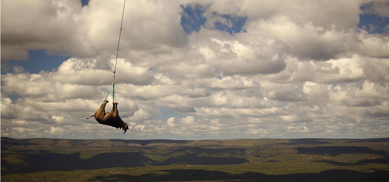 Errinozeroa airean393 Errinozeroa airean393