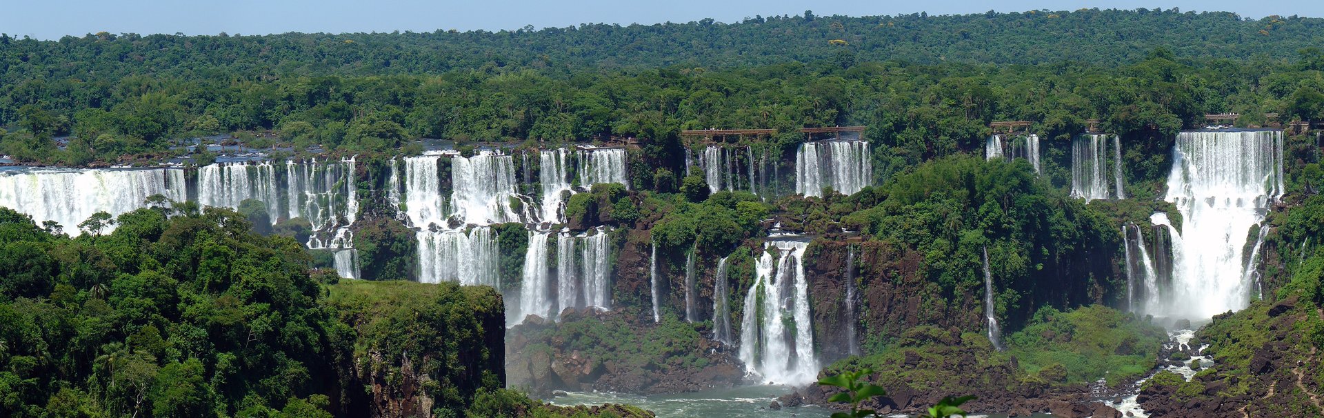 Hego Amerikako baso atlantikoa