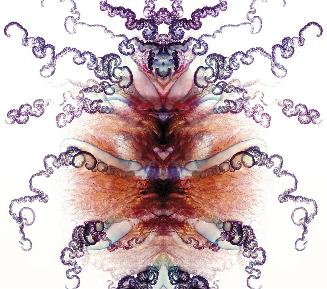 Karabela portugesa 1013