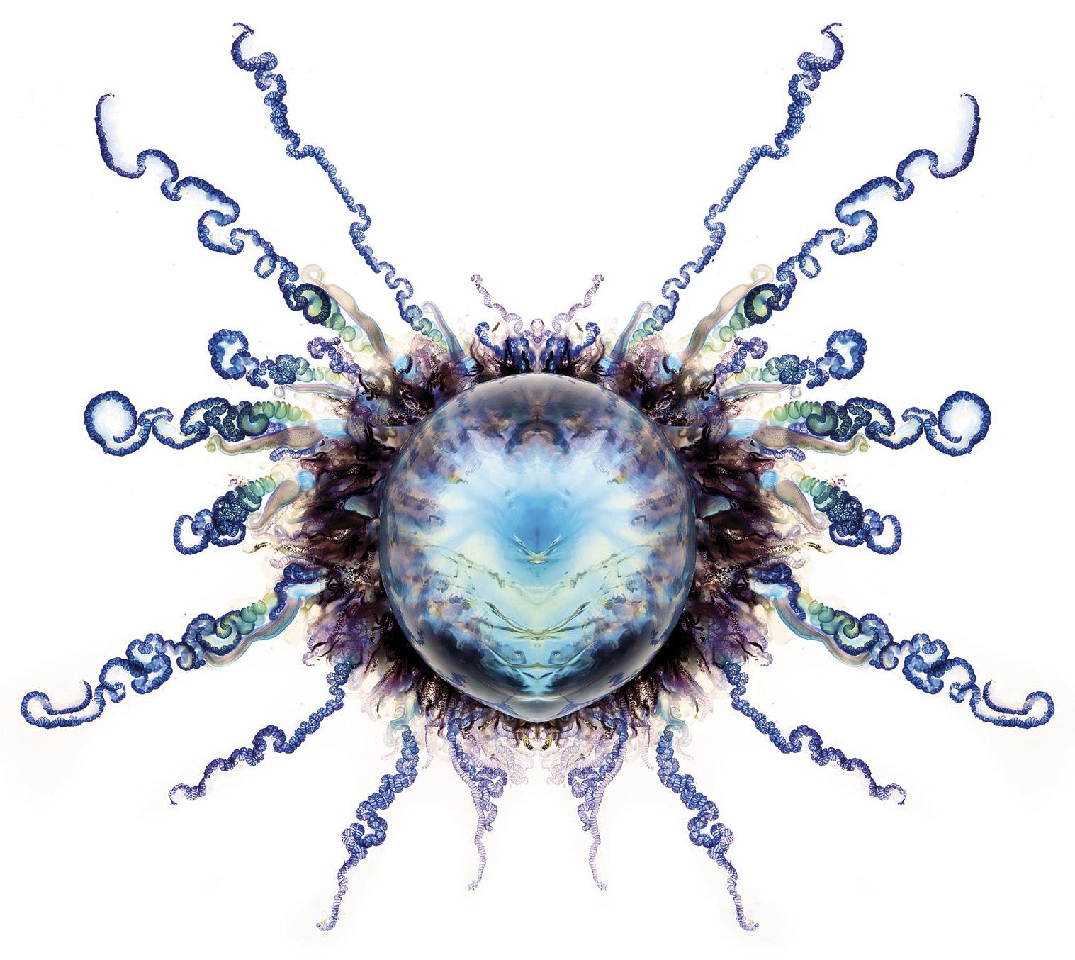 Karabela portugesa 137