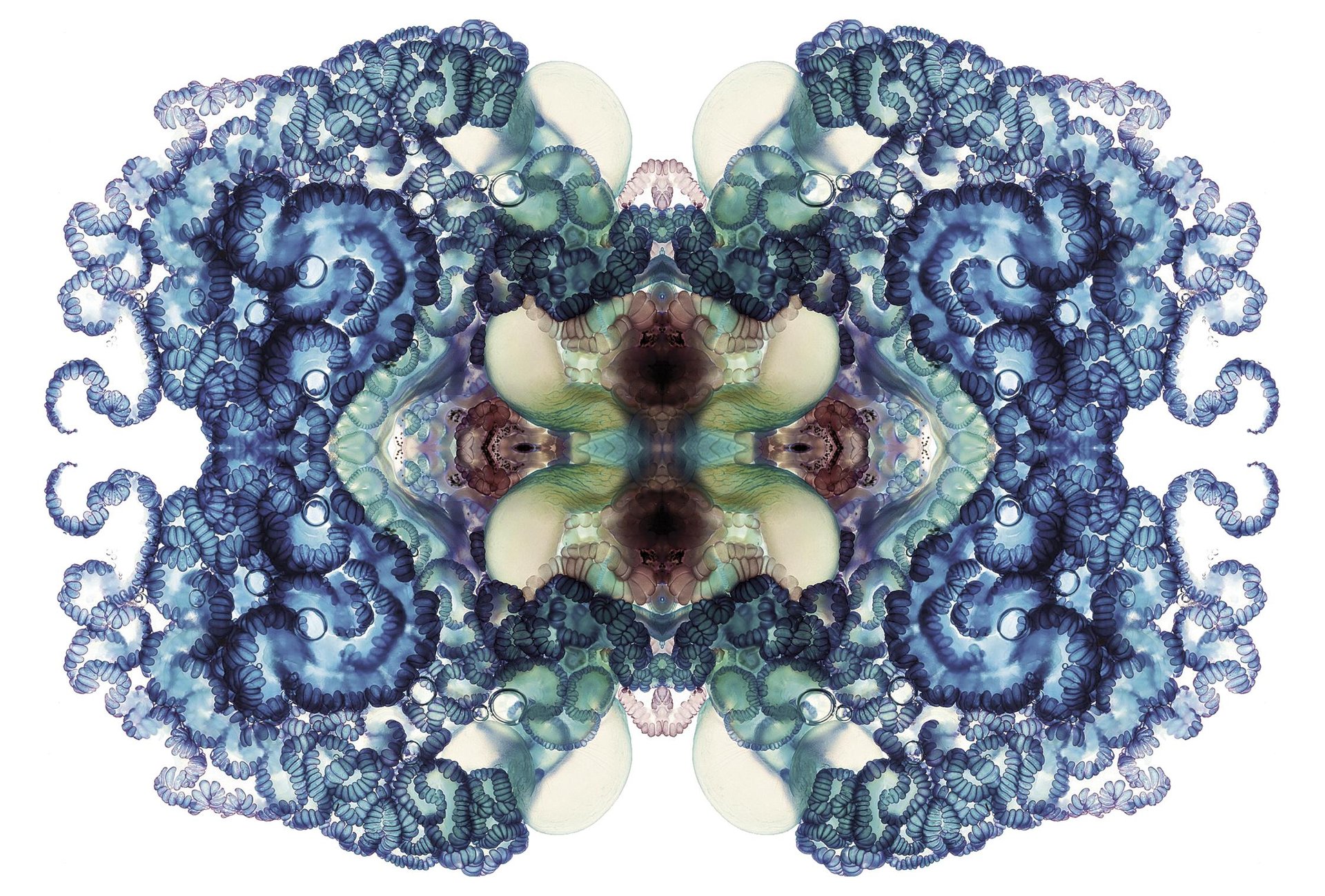 Karabela portugesa 275