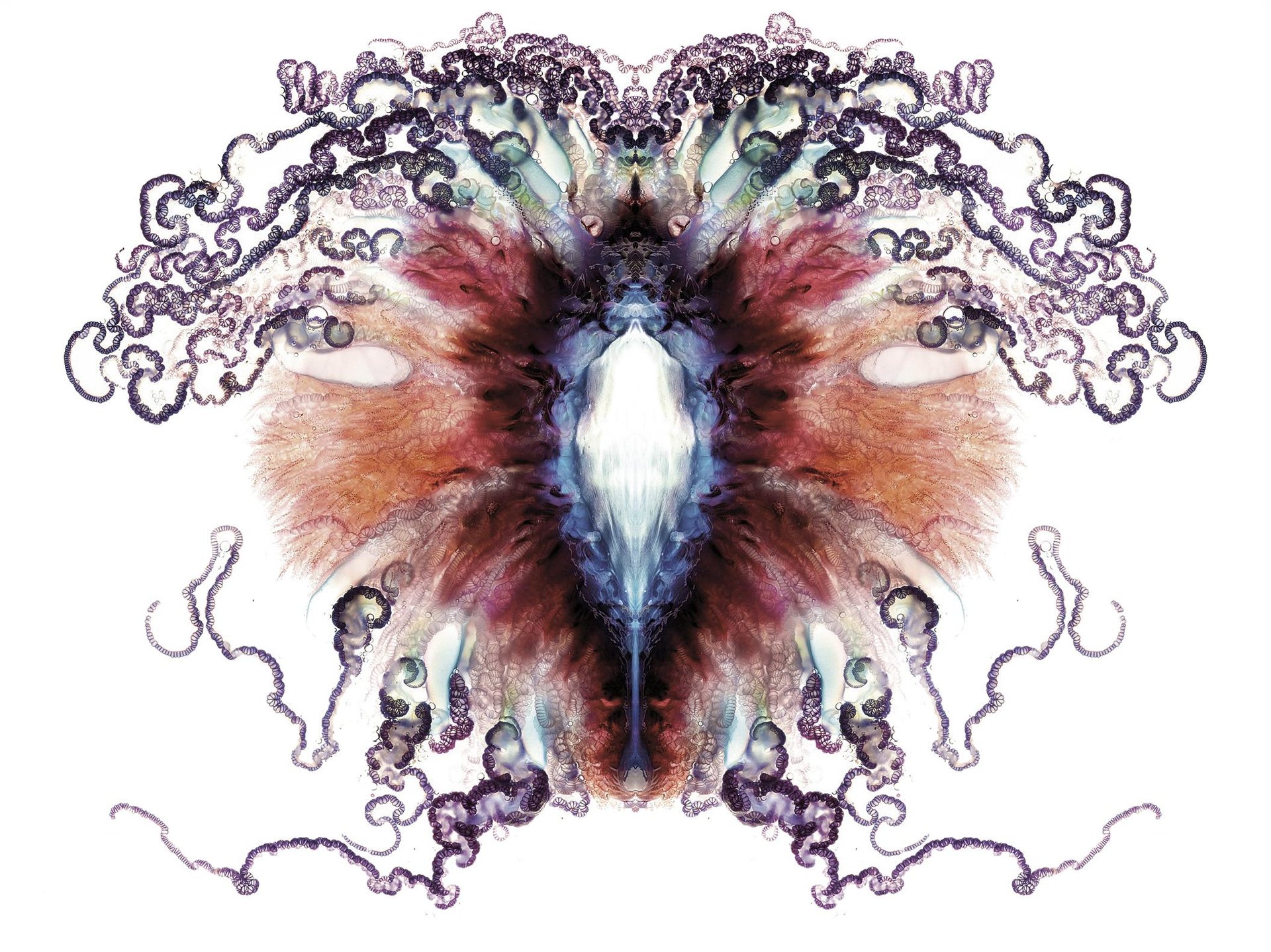 Karabela portugesa 393