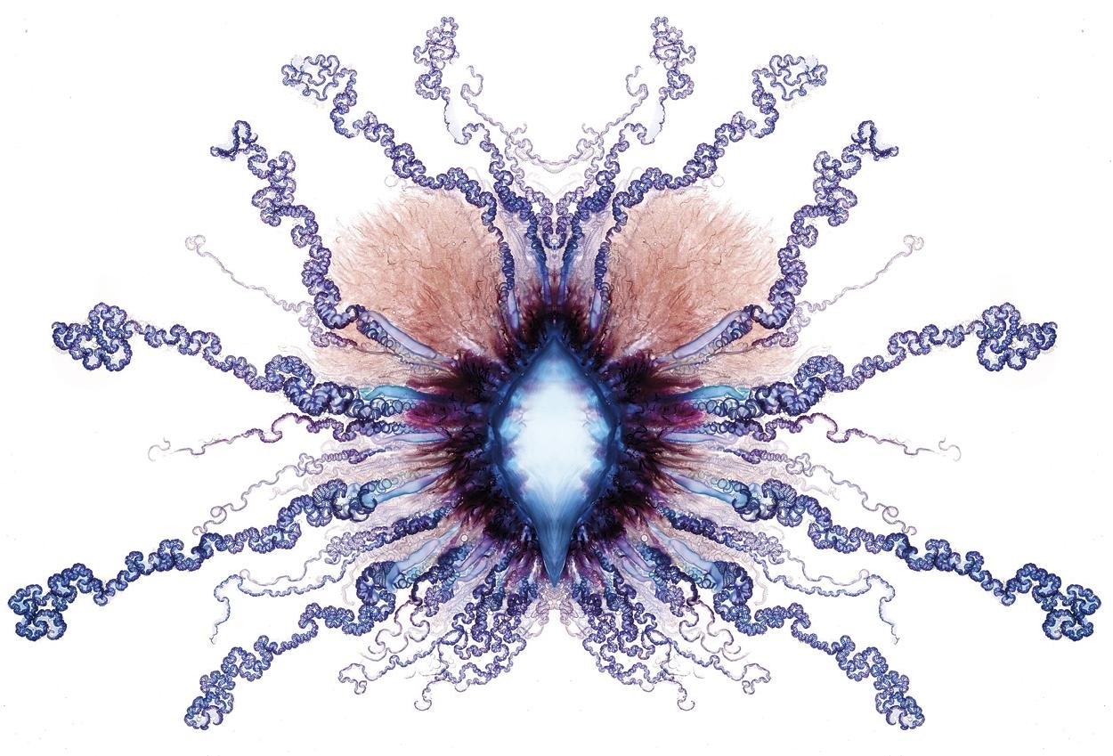 Karabela portugesa 546