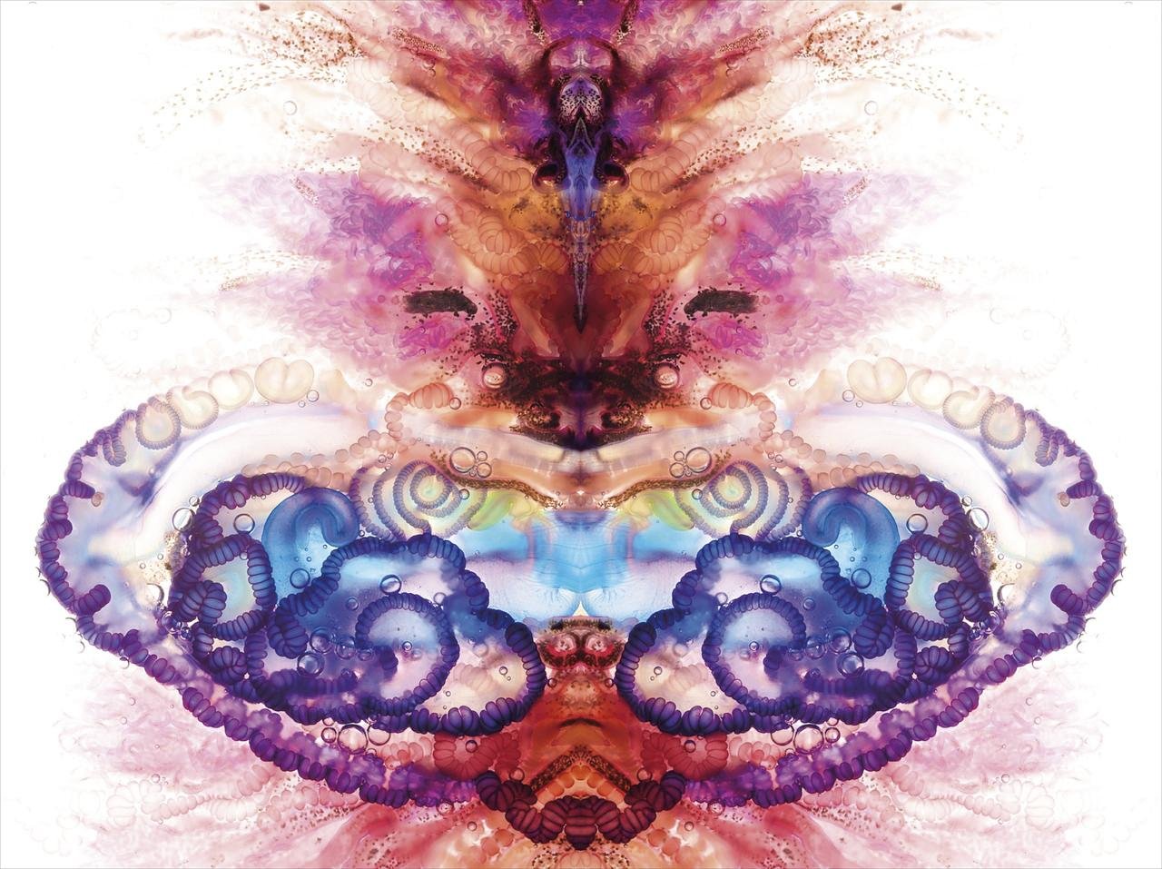 Karabela portugesa 613