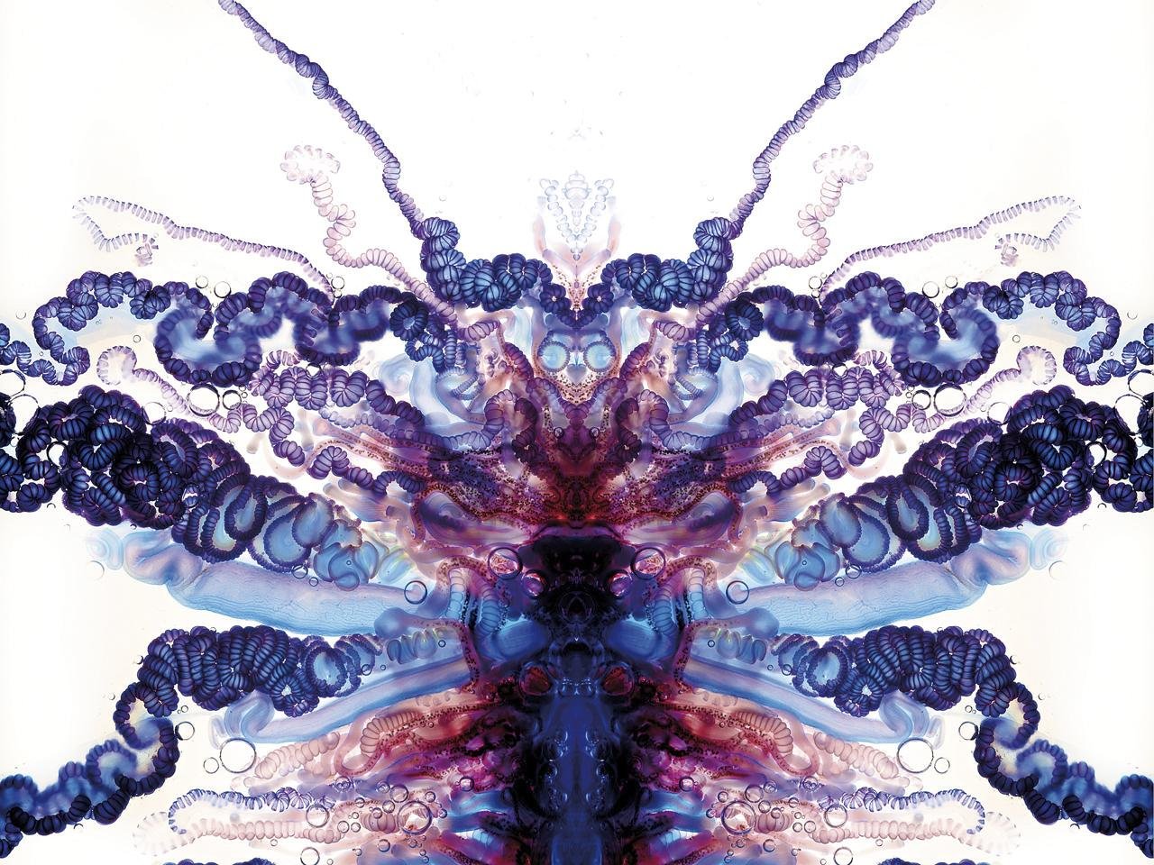 Karabela portugesa 799