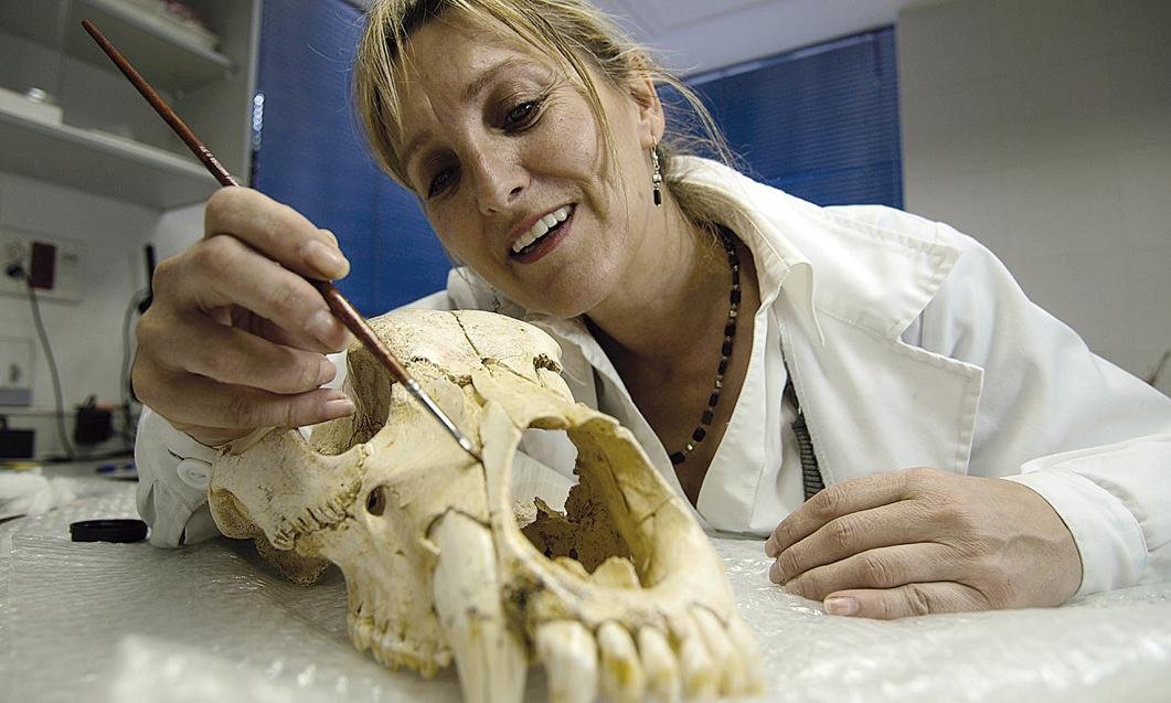 Mari Cruz Ortega zaharberritzailea