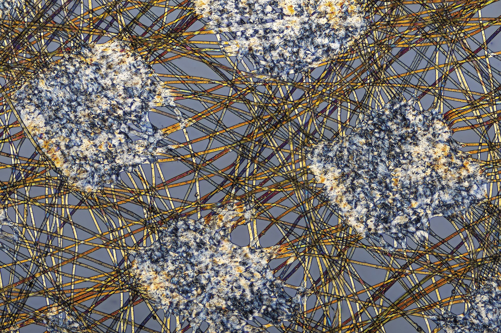 Maskara kirurgiko baten kanpoko geruza, mikroskopioz ikusita Maskara kirurgiko baten kanpoko geruza, mikroskopioz ikusita