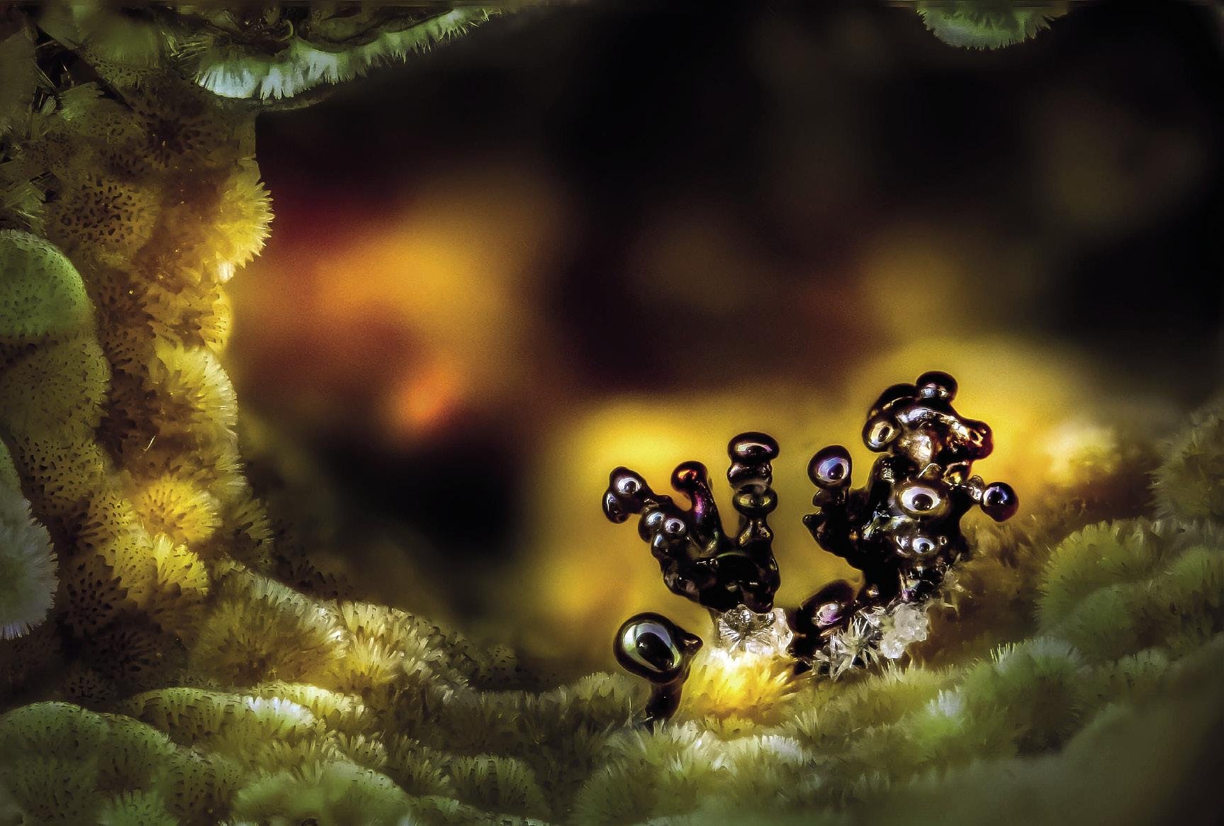 Nsutita eta kakoxenita (mineralak)