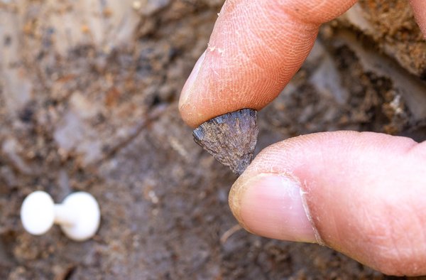 Gizakiek duela 400.000 urte sua egiten zutela ondorioztatu dute