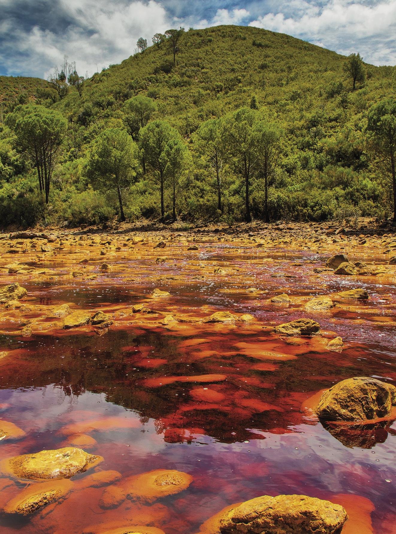 Rio Tinto 126