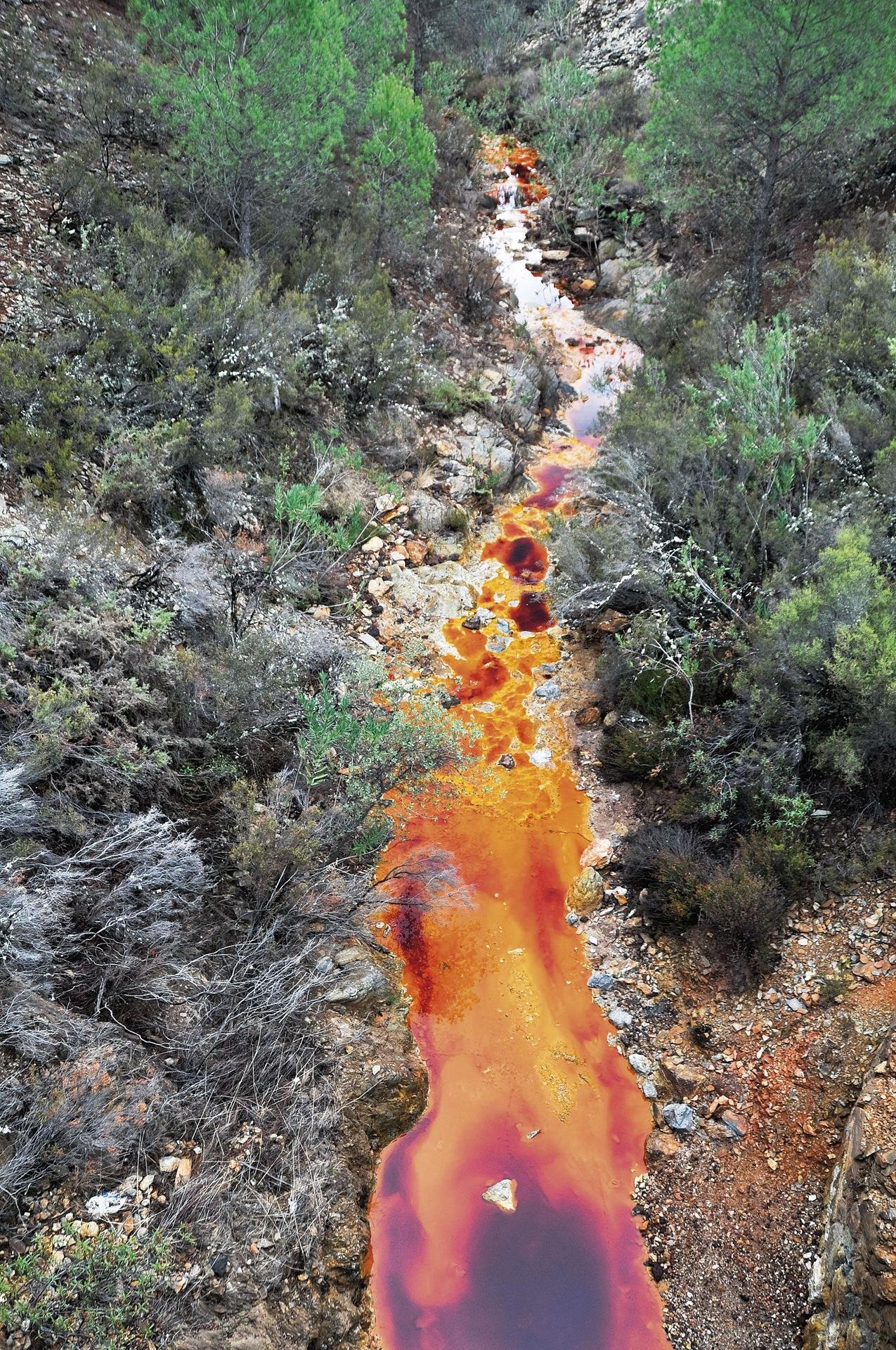 Rio Tinto 2 46