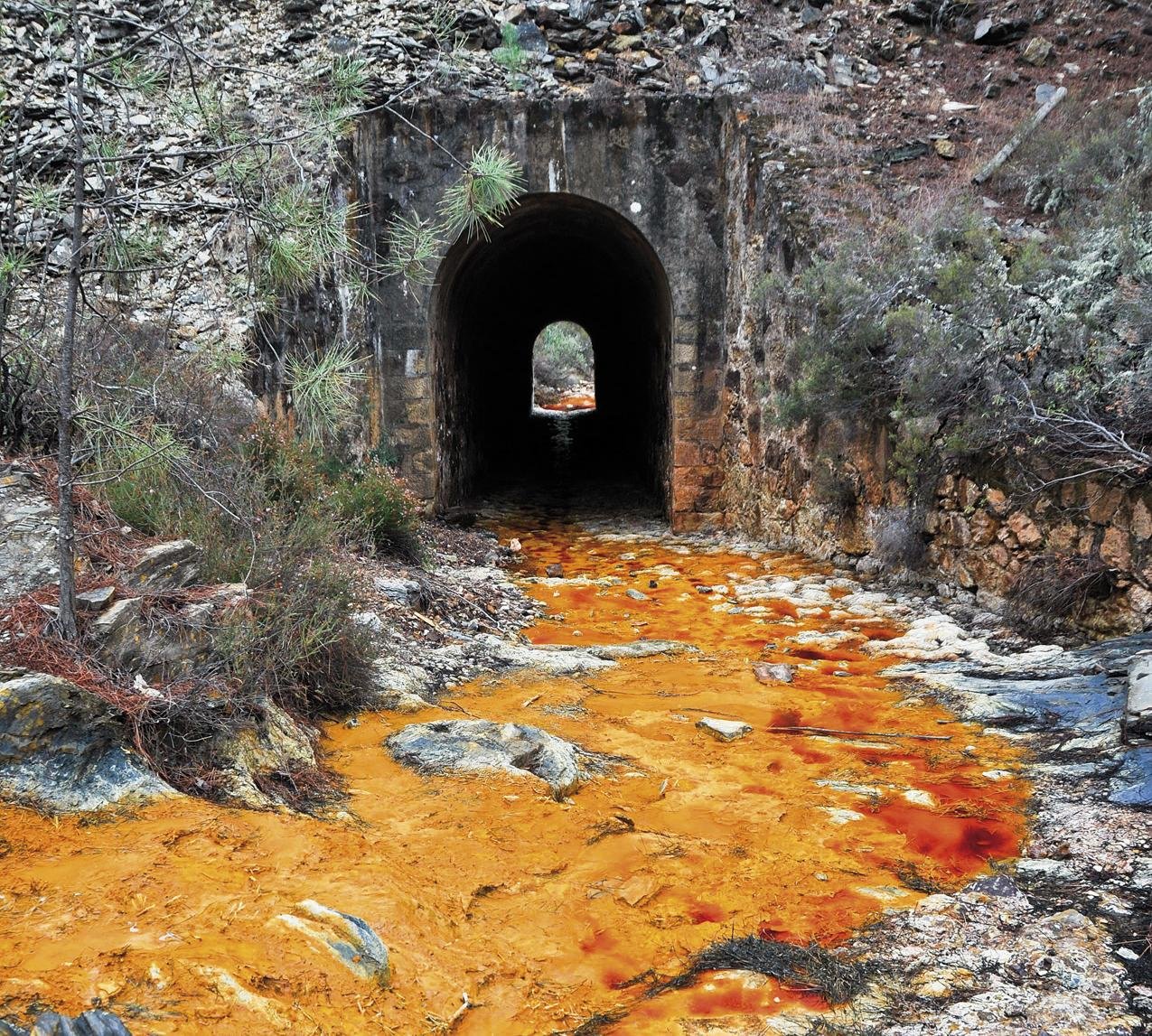 Rio Tinto 446