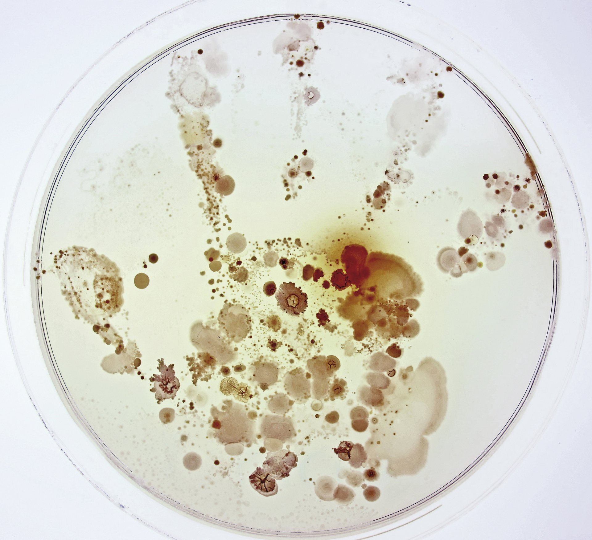 Zer dago ume baten eskuan?