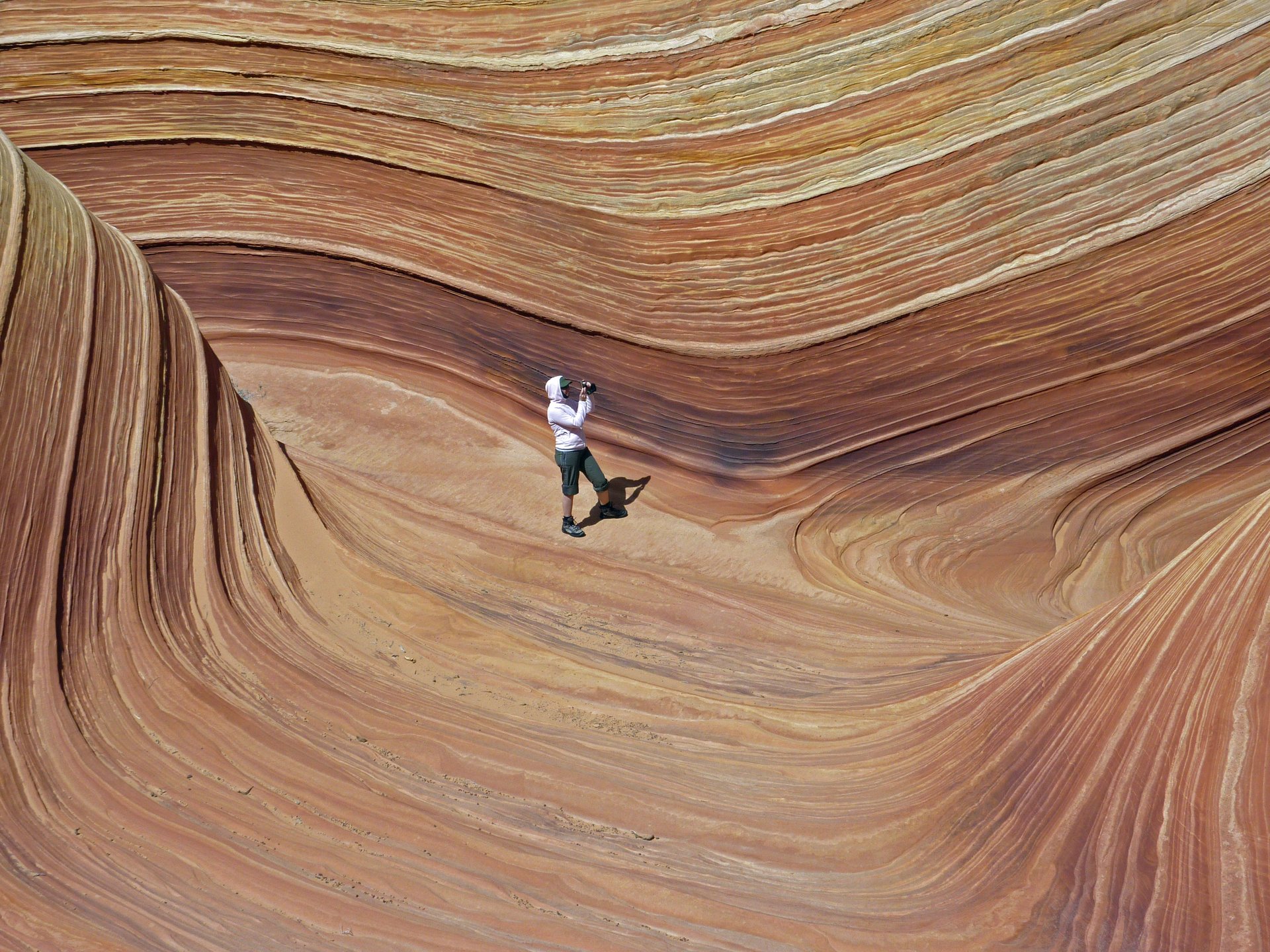 arizonako-olatua-2_291.445562042