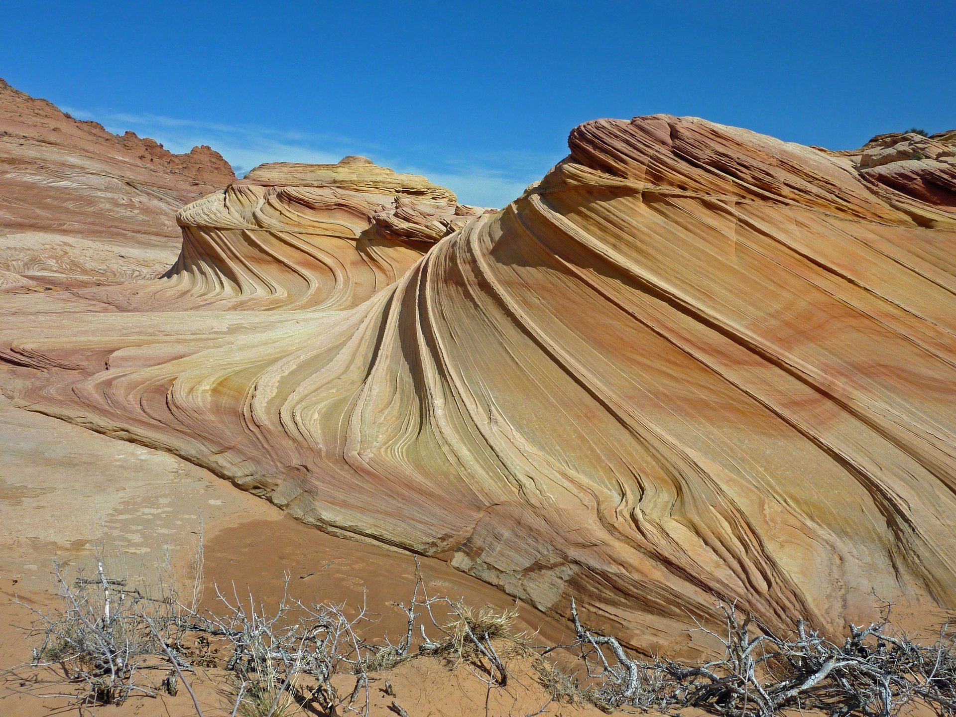 arizonako-olatua-3_601.309128525