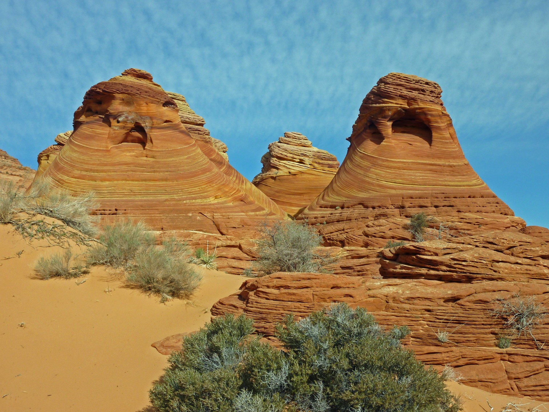 arizonako-olatua-4_897.160582882