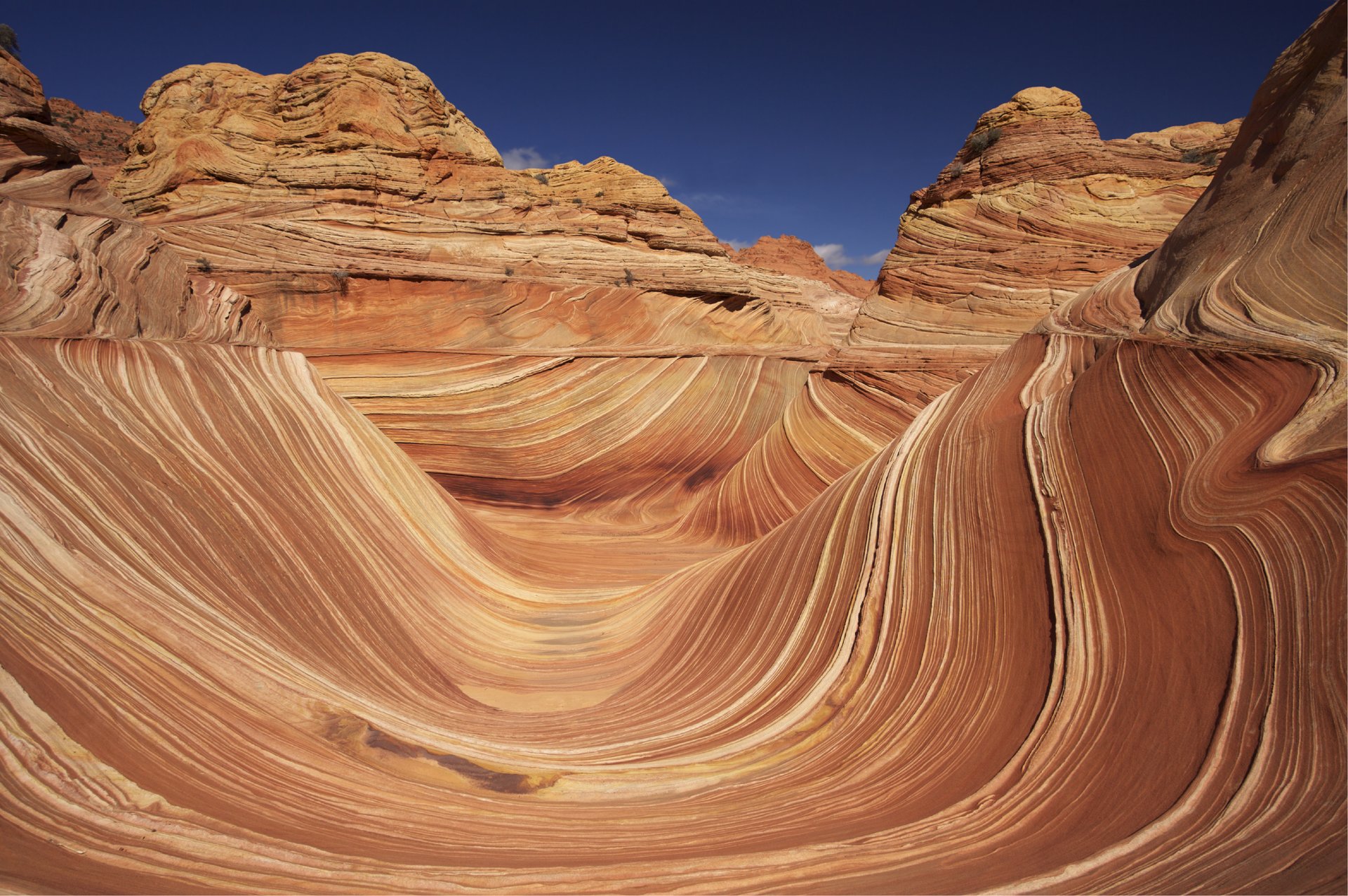 arizonako-olatua-6_201.129903521