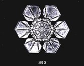 bentley-8_838.576360314