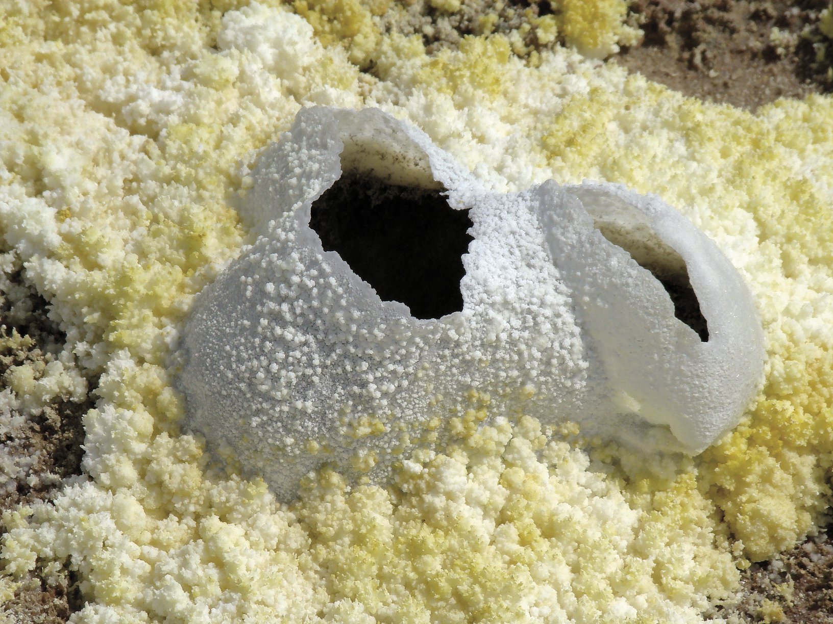 dallol-sumendia-koloreen-oasia-2_299.719435773