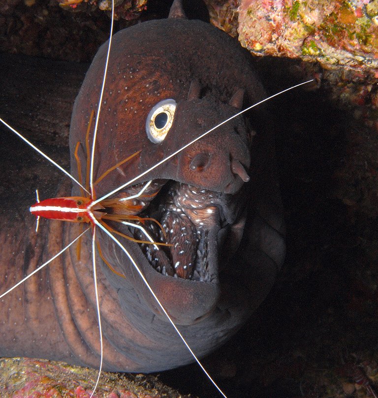 el-hierro-2_385.300028596