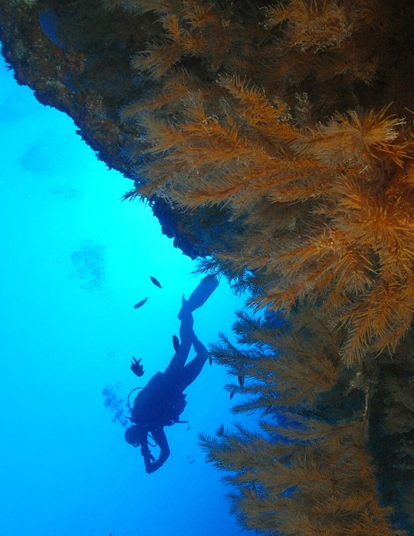 el-hierro-4_745.625170834