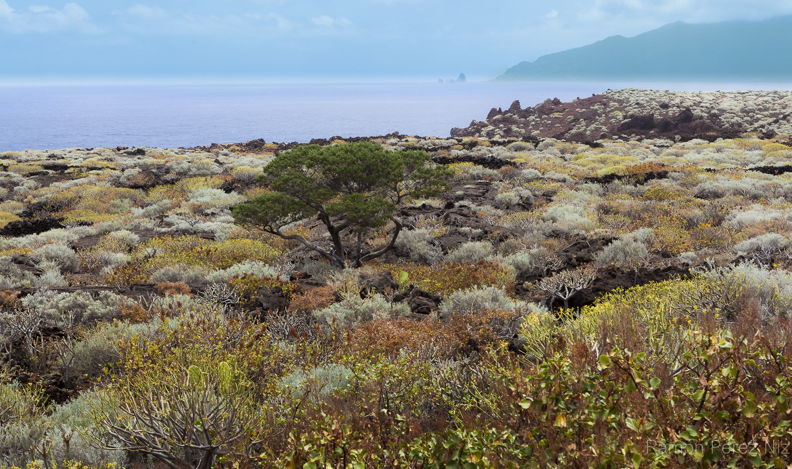 el-hierro-6_271.417359758