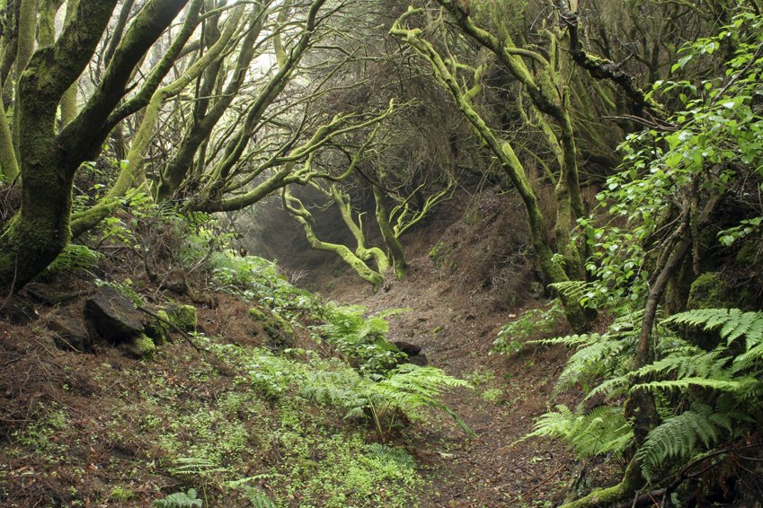 el-hierro-7_472.544682691