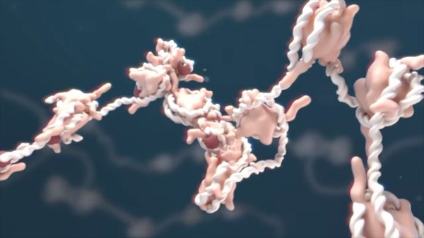 Gure etorkizun genetikoa berridazten