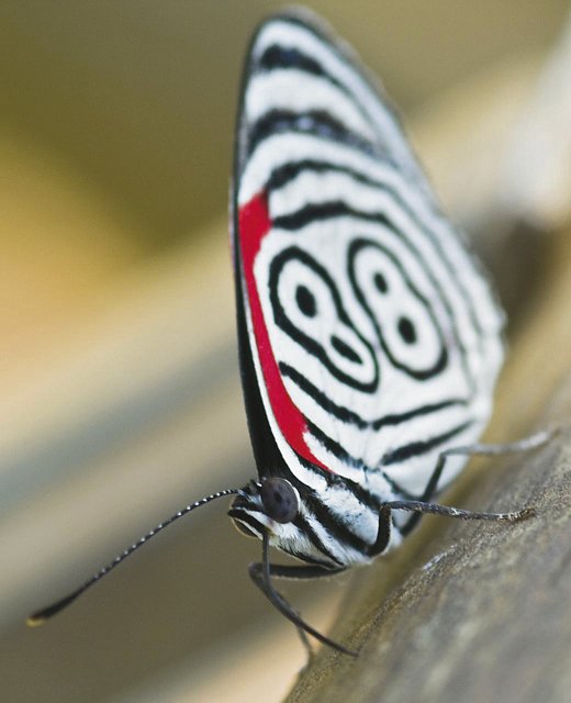 iguazu-3_227.873339979