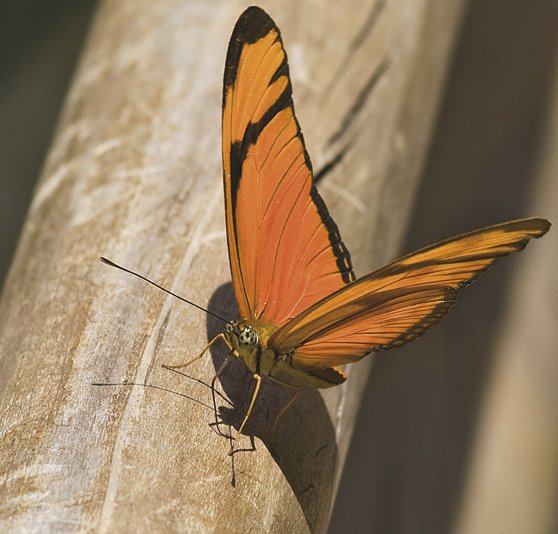 iguazu-4_932.089575974