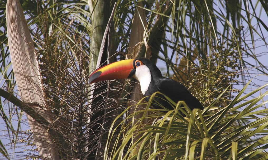 iguazu-5_838.82739341