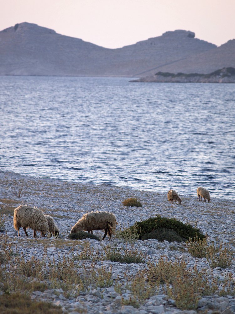 kornati-artxipelagoa-4_705.706997453
