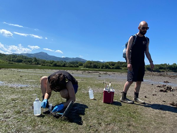 Euskal kostaldeko estuarioetako mikroorganismoen katalogo genetikoa osatu dute