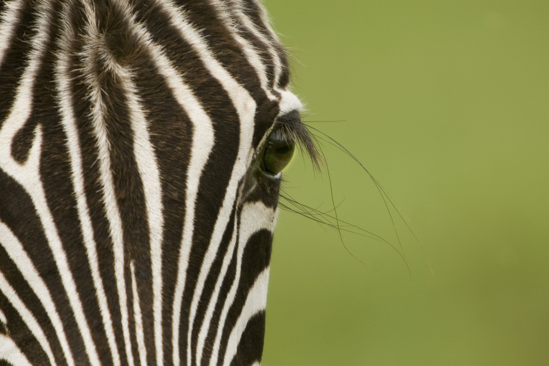 ngorongoro-5_295.786737346