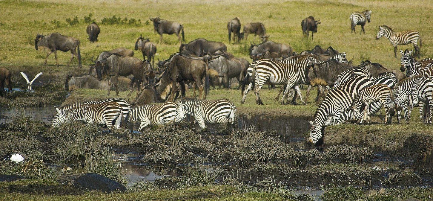 ngorongoro-6_411.130695149