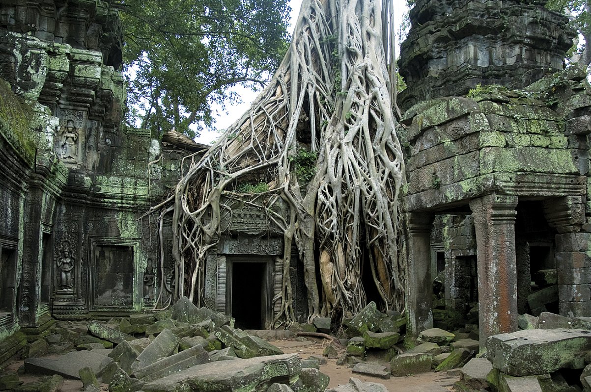 ta-prohm-zuhaitzen-tenplua-2_561.546047935