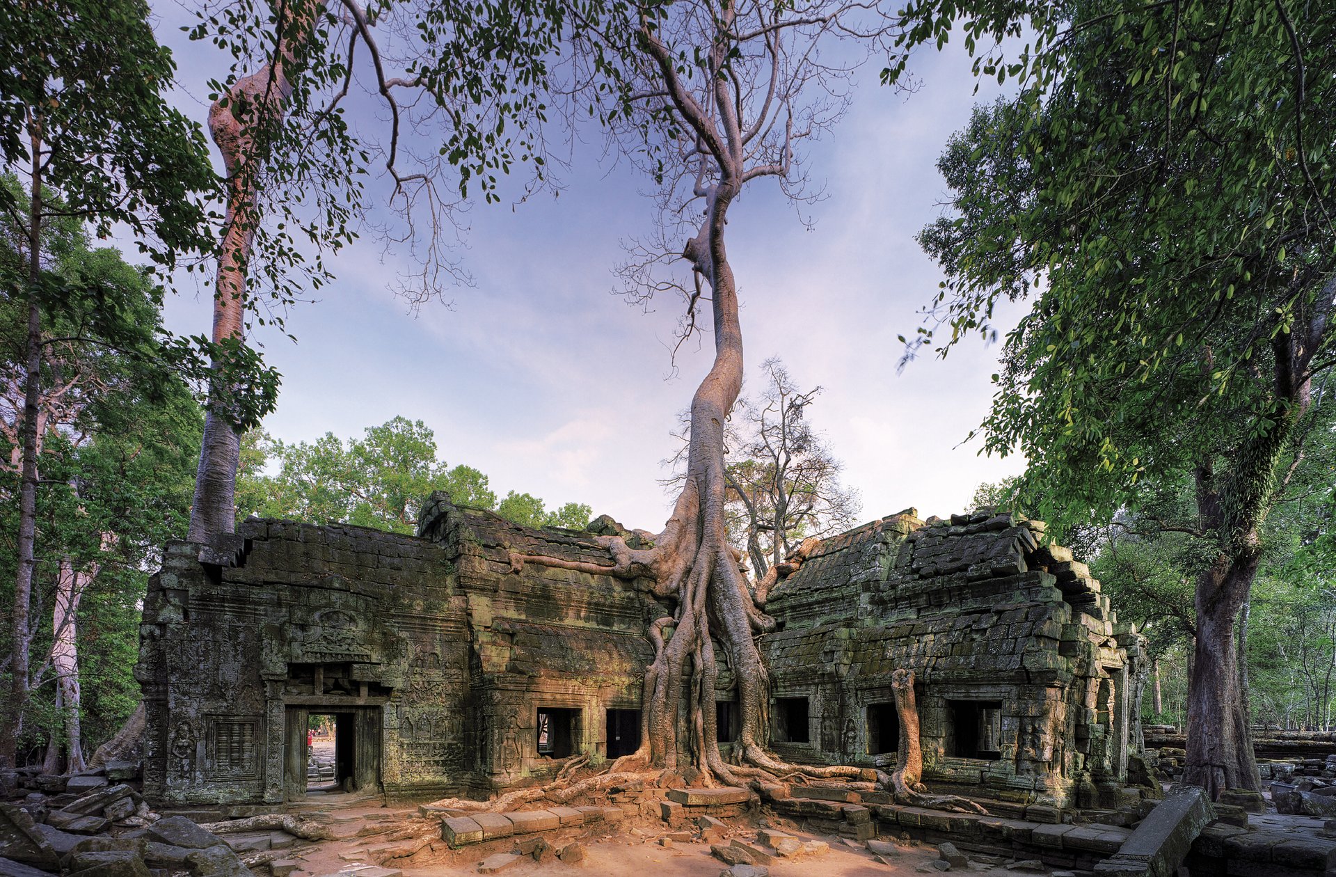 ta-prohm-zuhaitzen-tenplua-3_416.873350624