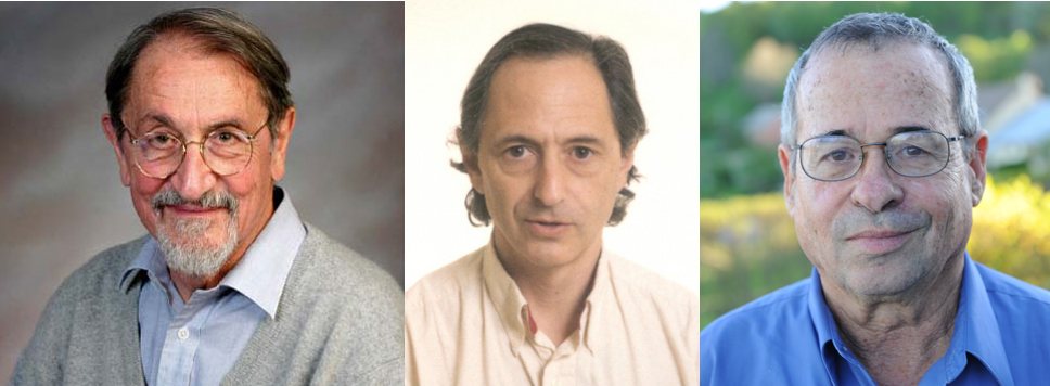 M. Karplus, M. Levitt y A. Warshel recibirán el Premio Nobel de Química por  desarrollar modelos de reacciones químicas - ZientziaEus