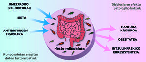 mikrobiota-eta-gaixotasun-metabolikoa