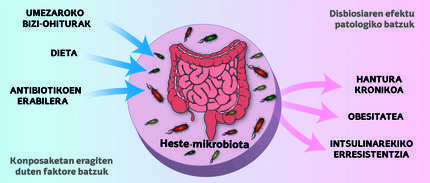 Mikrobiota eta gaixotasun metabolikoa