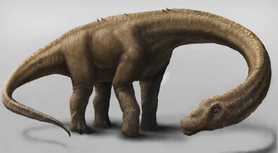 dinosauro-pisutsu-eta-osoena